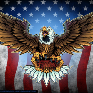 American Bald Eagle and American Flag background - Flyland Designs ...